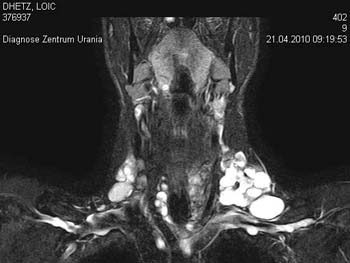 Diagnostik und Untersuchungstechniken